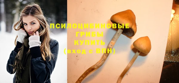 шишки Зеленокумск