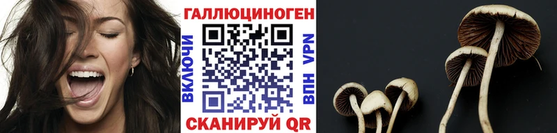 Псилоцибиновые грибы Magic Shrooms  Дербент 