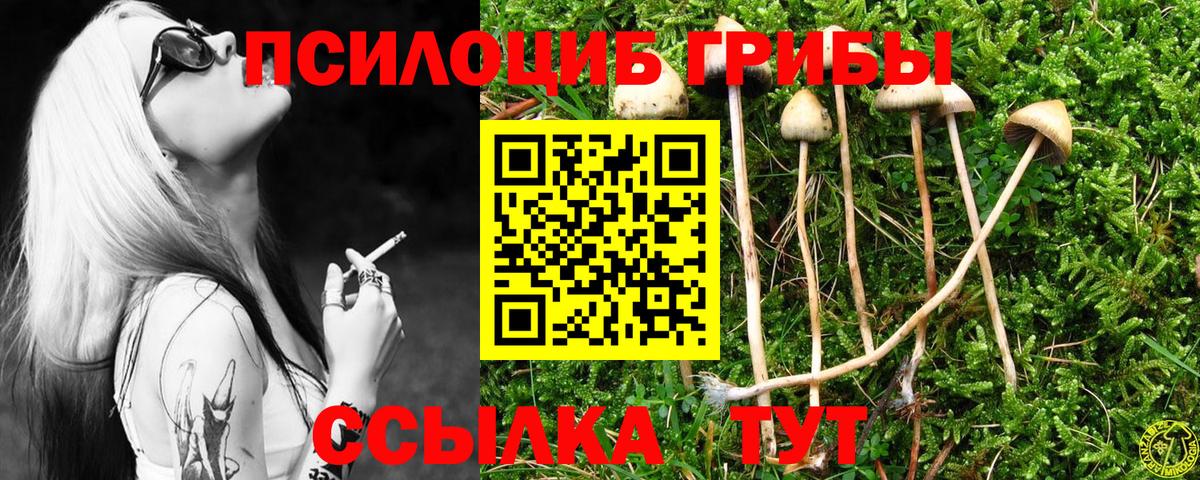 Псилоцибиновые грибы мухоморы  Вход с VPN  Дербент 