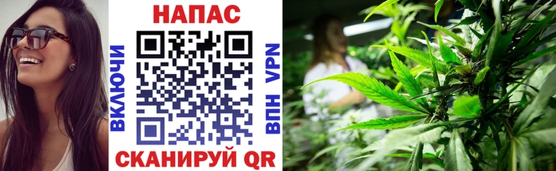 Бошки Шишки VHQ  KRAKEN как зайти  Дербент 